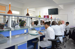 Biochemistry Laboratory /Faculty of Dentistry